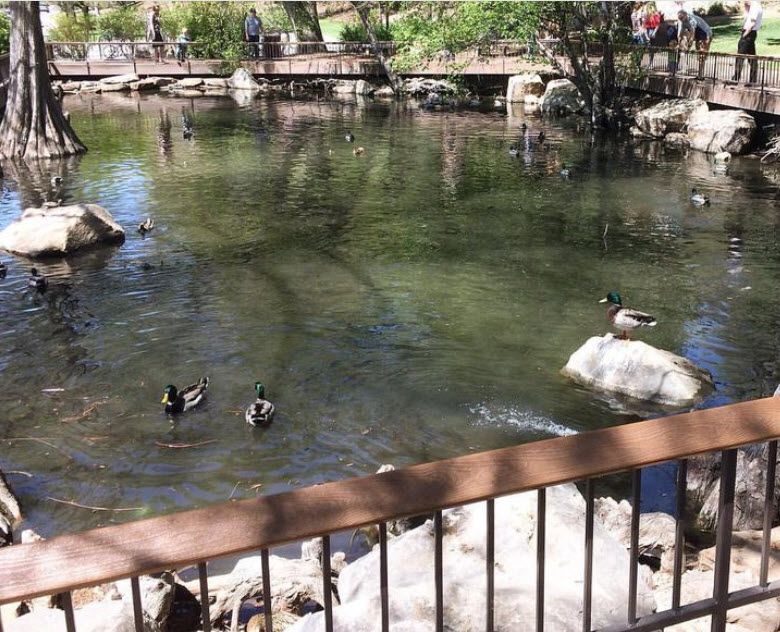 Harrison Arboretum and Botany Pond, United States
